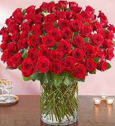 100 Rose Bouquet from Schultz Florists, flower delivery in Chicago