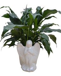 Angel Planter from Schultz Florists, flower delivery in Chicago