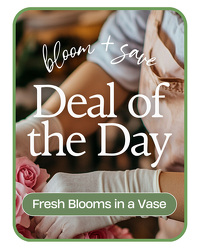 Deal of the Day from Schultz Florists, flower delivery in Chicago