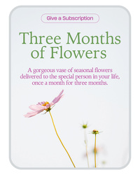 Bouquet of the Month Club (3) from Schultz Florists, flower delivery in Chicago