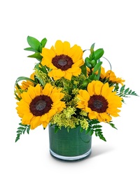 Sunshine Sunflowers from Schultz Florists, flower delivery in Chicago