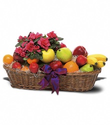 Fruit and Blooming from Schultz Florists, flower delivery in Chicago