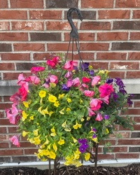 Hanging Pot from Schultz Florists, flower delivery in Chicago