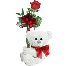 Budvase Bear from Schultz Florists, flower delivery in Chicago
