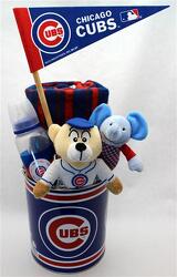 Cubbie Baby from Schultz Florists, flower delivery in Chicago