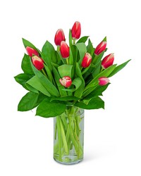 Tulips (Color May Vary) from Schultz Florists, flower delivery in Chicago