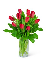Red Tulips from Schultz Florists, flower delivery in Chicago