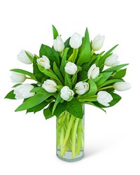 White Tulips from Schultz Florists, flower delivery in Chicago