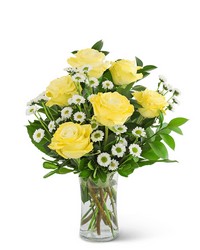 Yellow Roses with Daisies from Schultz Florists, flower delivery in Chicago