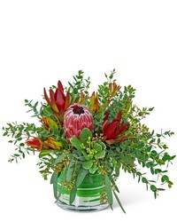 Protea Wilderness from Schultz Florists, flower delivery in Chicago