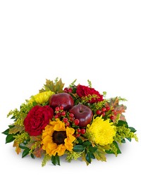 Autumn Orchard Centerpiece from Schultz Florists, flower delivery in Chicago