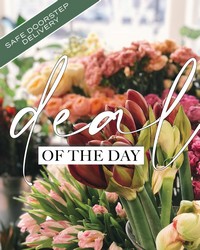 Deal of the Day from Schultz Florists, flower delivery in Chicago