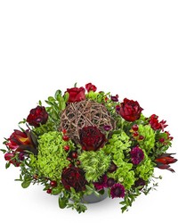 Merlot Twist from Schultz Florists, flower delivery in Chicago