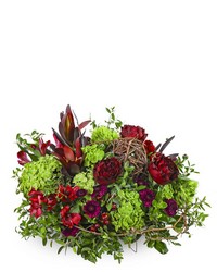Modern Merlot from Schultz Florists, flower delivery in Chicago