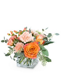 Coral Crush from Schultz Florists, flower delivery in Chicago
