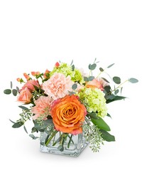 Peachy Sweet from Schultz Florists, flower delivery in Chicago