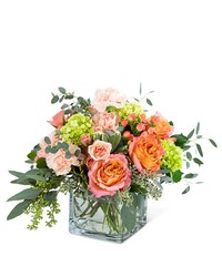 Sweet Charlotte from Schultz Florists, flower delivery in Chicago