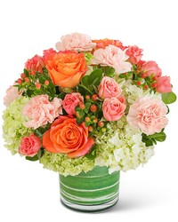 Coral Nectar from Schultz Florists, flower delivery in Chicago