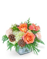 Frosted Peach Lane from Schultz Florists, flower delivery in Chicago