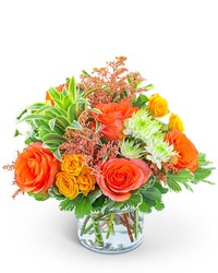 Key West Sunshine from Schultz Florists, flower delivery in Chicago