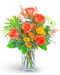 Kiss Me in Key West from Schultz Florists, flower delivery in Chicago