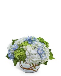 Dreamy Hydrangea from Schultz Florists, flower delivery in Chicago