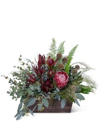 Botanic Beauty from Schultz Florists, flower delivery in Chicago
