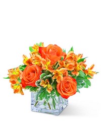 Fresh Tangerine from Schultz Florists, flower delivery in Chicago