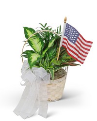 Patriotic Planter from Schultz Florists, flower delivery in Chicago