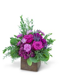 Violet Woods from Schultz Florists, flower delivery in Chicago
