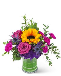 Sunny Blooms from Schultz Florists, flower delivery in Chicago