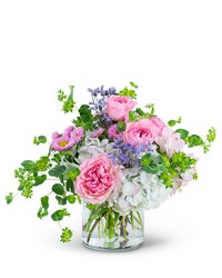 Cloud Nine from Schultz Florists, flower delivery in Chicago