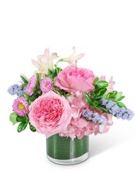 Sweet Pink Clouds from Schultz Florists, flower delivery in Chicago