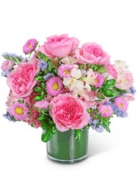 Cloud Nine Luxe from Schultz Florists, flower delivery in Chicago