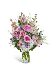 Cotton Candy Sweetie from Schultz Florists, flower delivery in Chicago