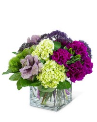 Purple Reign from Schultz Florists, flower delivery in Chicago