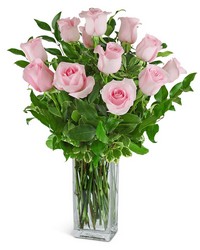 One Dozen Light Pink Roses from Schultz Florists, flower delivery in Chicago