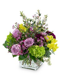 Plum Paradise from Schultz Florists, flower delivery in Chicago