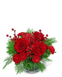 Holly Berries from Schultz Florists, flower delivery in Chicago