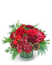 Ruby Red Velvet from Schultz Florists, flower delivery in Chicago