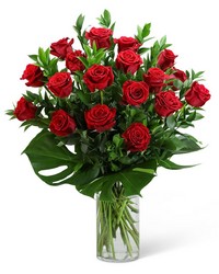 Red Roses with Modern Foliage (18) from Schultz Florists, flower delivery in Chicago