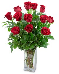 Classic Dozen Red Roses from Schultz Florists, flower delivery in Chicago
