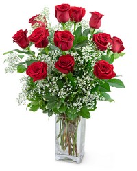 Dozen Roses in a Cloud from Schultz Florists, flower delivery in Chicago