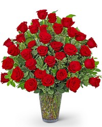 Three Dozen Elegant Red Roses from Schultz Florists, flower delivery in Chicago