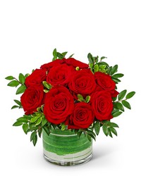 One Dozen Rosy Posy Red Roses from Schultz Florists, flower delivery in Chicago