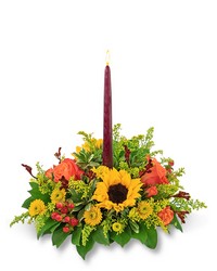 Autumnal Equinox Centerpiece from Schultz Florists, flower delivery in Chicago