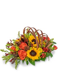 Creative Cornucopia from Schultz Florists, flower delivery in Chicago