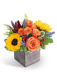 Larchmont Canyon from Schultz Florists, flower delivery in Chicago