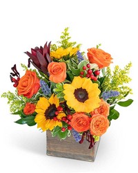 Rosewood Canyon  from Schultz Florists, flower delivery in Chicago