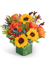 Hills of Tuscany from Schultz Florists, flower delivery in Chicago